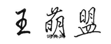 駱恆光王萌盟行書個性簽名怎么寫