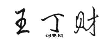 駱恆光王丁財行書個性簽名怎么寫