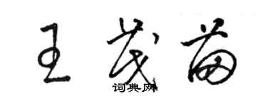 駱恆光王茂苗草書個性簽名怎么寫