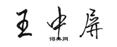 駱恆光王中屏行書個性簽名怎么寫