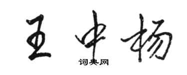 駱恆光王中楊行書個性簽名怎么寫