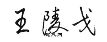 駱恆光王陵戈行書個性簽名怎么寫