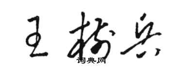 駱恆光王樹兵草書個性簽名怎么寫