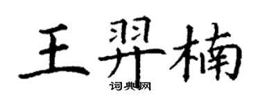 丁謙王羿楠楷書個性簽名怎么寫
