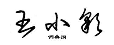 朱錫榮王小彩草書個性簽名怎么寫