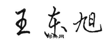 駱恆光王東旭行書個性簽名怎么寫