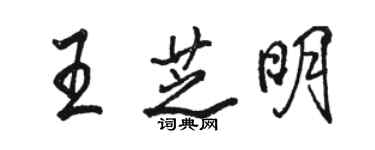 駱恆光王芝明行書個性簽名怎么寫