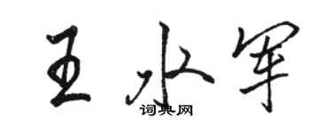 駱恆光王水軍行書個性簽名怎么寫