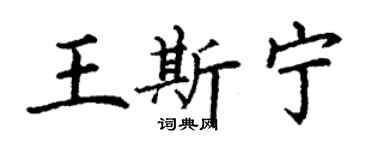丁謙王斯寧楷書個性簽名怎么寫