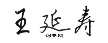 駱恆光王延壽行書個性簽名怎么寫