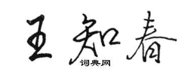 駱恆光王知春行書個性簽名怎么寫