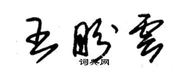 朱錫榮王盼雲草書個性簽名怎么寫