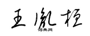 梁錦英王胤桓草書個性簽名怎么寫