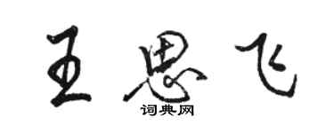 駱恆光王思飛行書個性簽名怎么寫