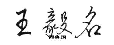 駱恆光王毅名行書個性簽名怎么寫