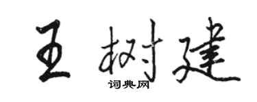 駱恆光王樹建行書個性簽名怎么寫