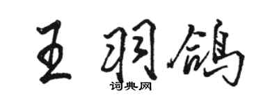 駱恆光王羽鴿行書個性簽名怎么寫