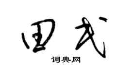 梁錦英田民草書個性簽名怎么寫