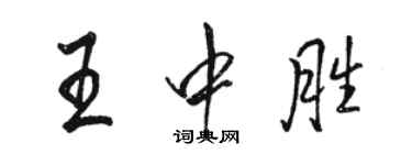 駱恆光王中勝行書個性簽名怎么寫