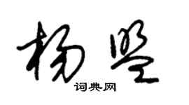 朱錫榮楊盟草書個性簽名怎么寫