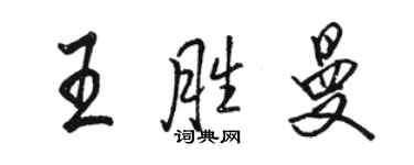 駱恆光王勝曼行書個性簽名怎么寫