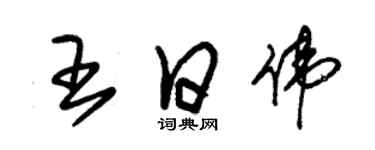 朱錫榮王日偉草書個性簽名怎么寫