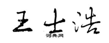 曾慶福王士浩行書個性簽名怎么寫