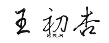駱恆光王初杏行書個性簽名怎么寫
