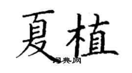 丁謙夏植楷書個性簽名怎么寫