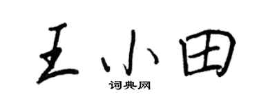 王正良王小田行書個性簽名怎么寫