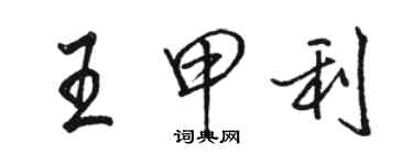 駱恆光王甲利行書個性簽名怎么寫