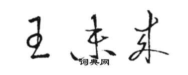 駱恆光王未來草書個性簽名怎么寫