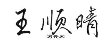 駱恆光王順晴行書個性簽名怎么寫