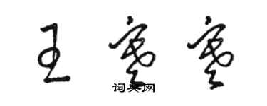 駱恆光王寒寒草書個性簽名怎么寫