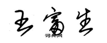 朱錫榮王富生草書個性簽名怎么寫