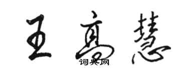 駱恆光王高慧行書個性簽名怎么寫