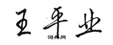 駱恆光王平業行書個性簽名怎么寫