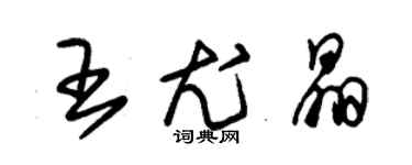 朱錫榮王尤晶草書個性簽名怎么寫