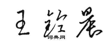 駱恆光王鈴晨草書個性簽名怎么寫