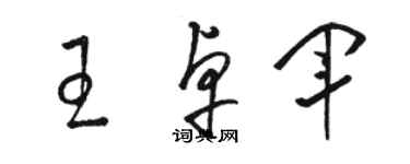 駱恆光王卓軍草書個性簽名怎么寫