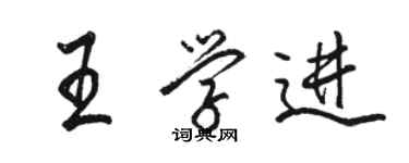 駱恆光王學進行書個性簽名怎么寫