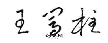 駱恆光王闖柱草書個性簽名怎么寫