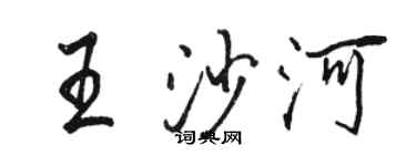 駱恆光王沙河行書個性簽名怎么寫