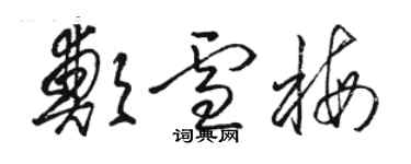 駱恆光鄭雪梅草書個性簽名怎么寫