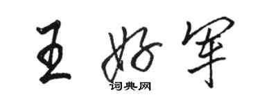 駱恆光王好軍行書個性簽名怎么寫