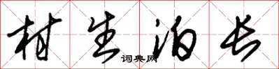 朱錫榮村生泊長草書怎么寫