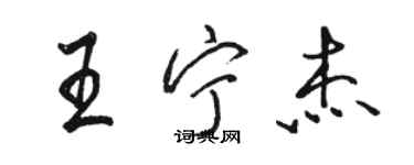 駱恆光王寧傑行書個性簽名怎么寫