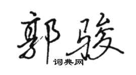 駱恆光郭駿行書個性簽名怎么寫