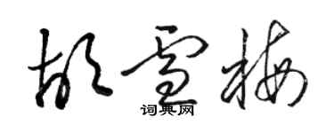 駱恆光胡雪梅草書個性簽名怎么寫