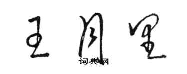 駱恆光王月里草書個性簽名怎么寫